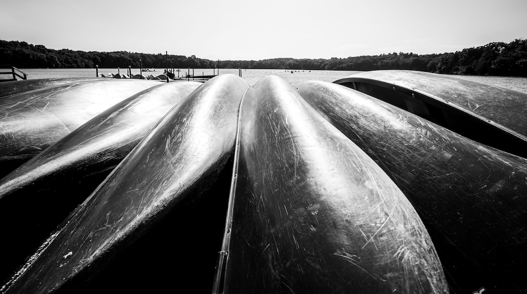 The Canoe's