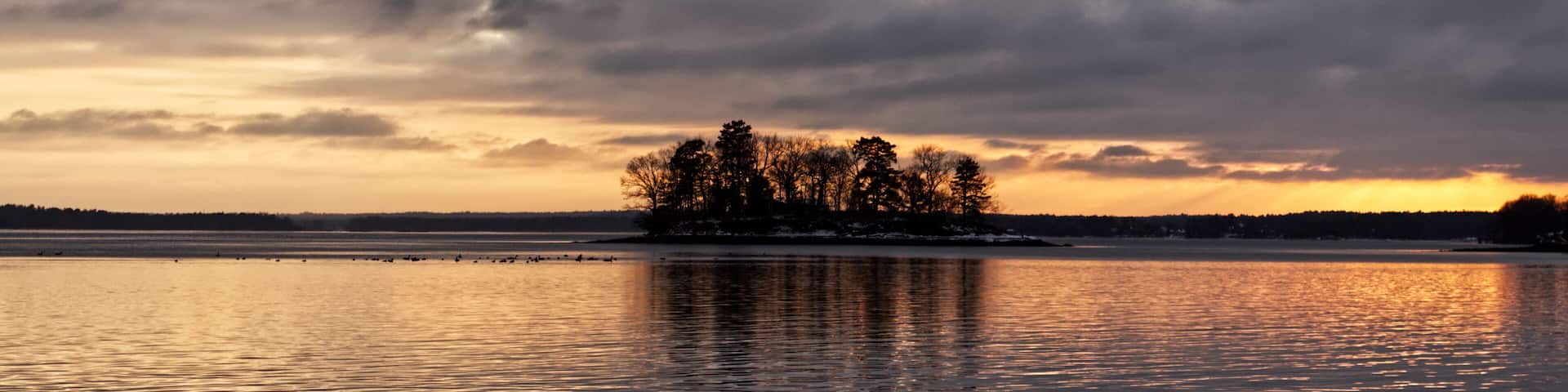 A calm lake at sunset with a small island of trees in the center.