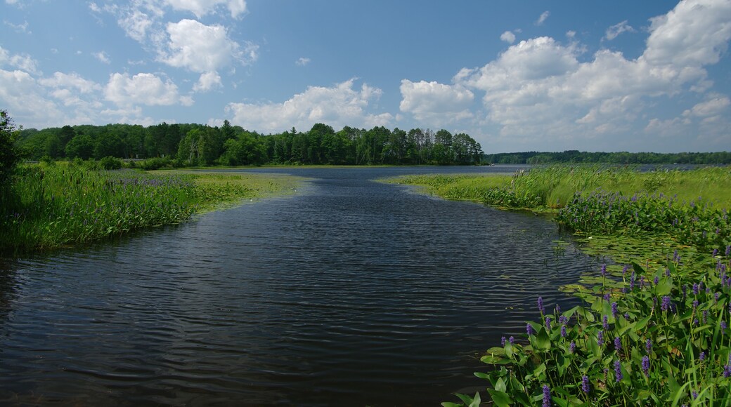 Boat Channel: A waterway for small boats leads into the Chippewa Flowage lake region of northern Wisconsin.