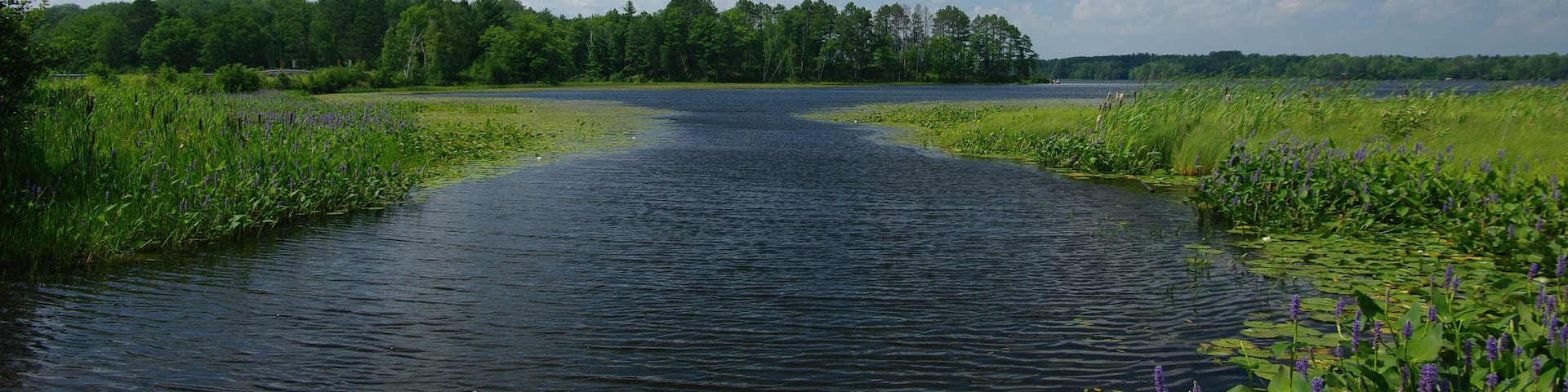 Boat Channel: A waterway for small boats leads into the Chippewa Flowage lake region of northern Wisconsin.