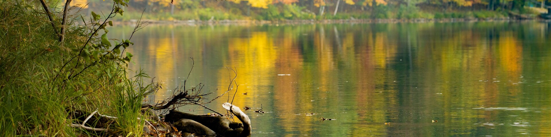 Colorful autumn leaves reflecting on the calm water of Spring Lake in Barron County Wisconsin. Selective focus, foreground blur, background blur. Copy space