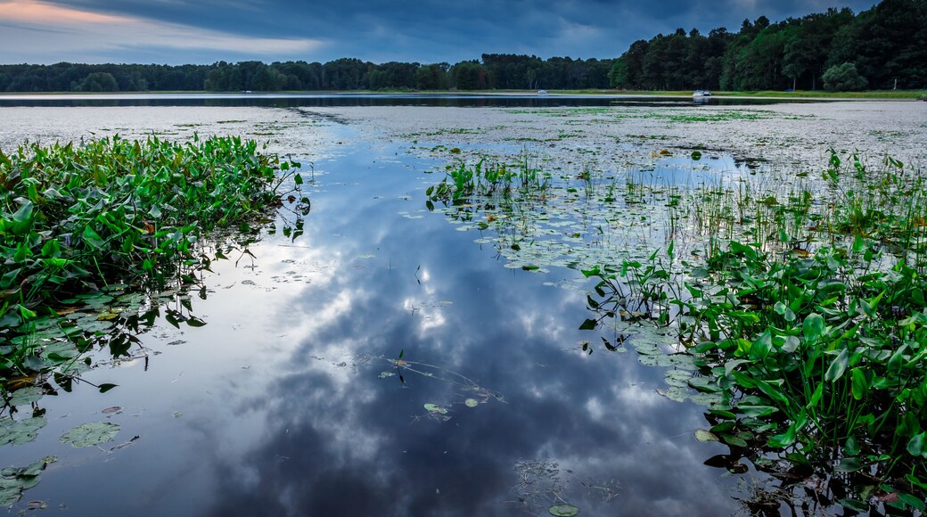 North Lake Public Boat Landing, Barron County Wisconsin