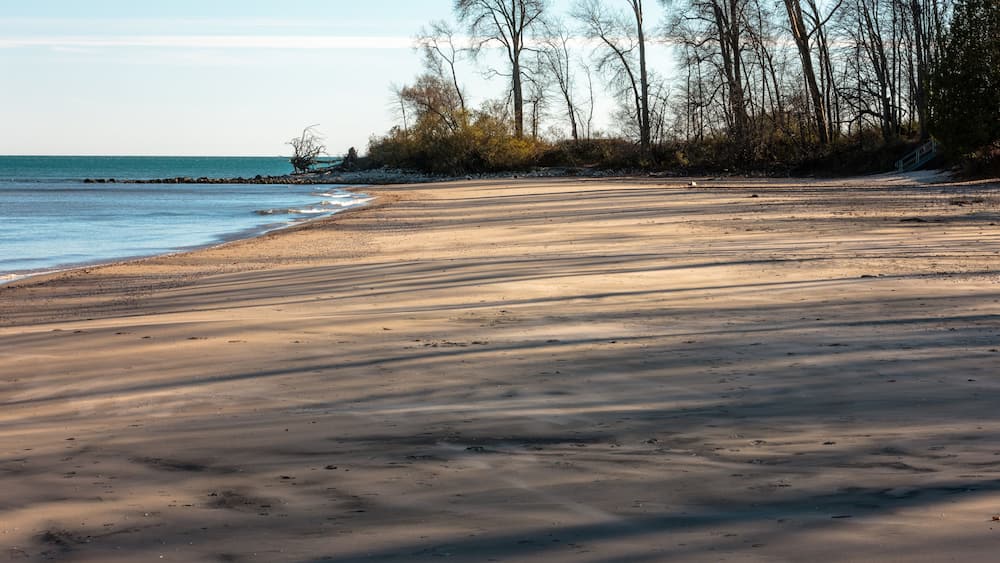 A sandy beach with shadows, trees, and a calm sea.