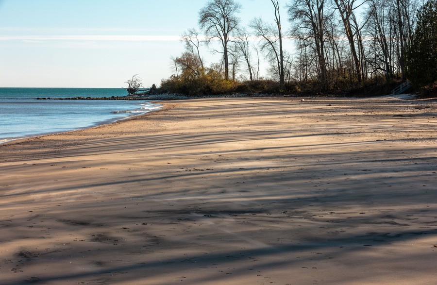 Una playa arenosa con sombras, árboles y un mar tranquilo.