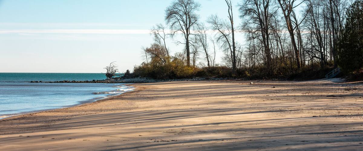 A sandy beach with shadows, trees, and a calm sea.
