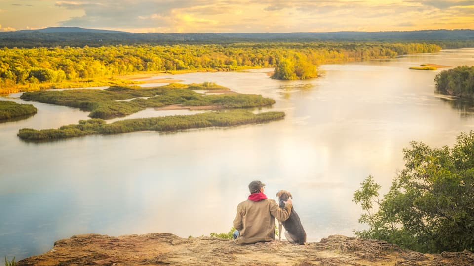 A river with islands, a person and a dog, and a forest in autumn.