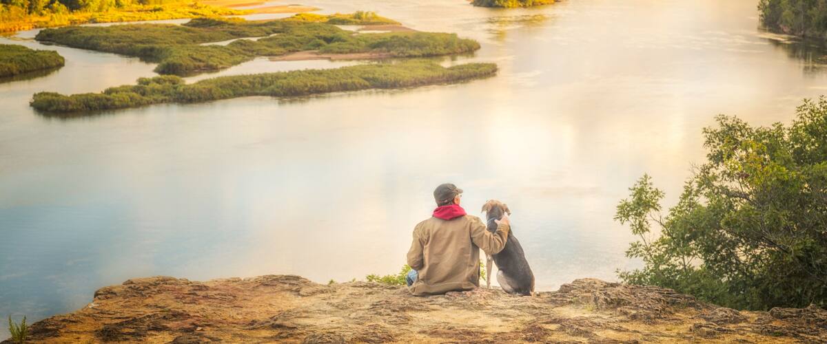 A river with islands, a person and a dog, and a forest in autumn.