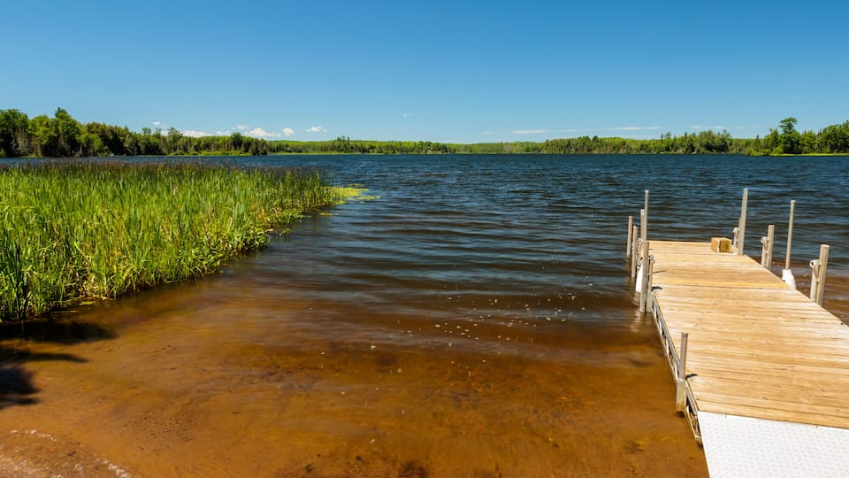 A wooden dock extending into a river with clear water, surrounded by lush greenery and trees.