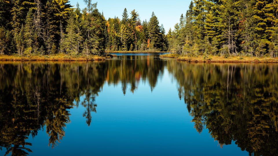 A calm lake surrounded by dense forest with reflections of trees and a clear sky.