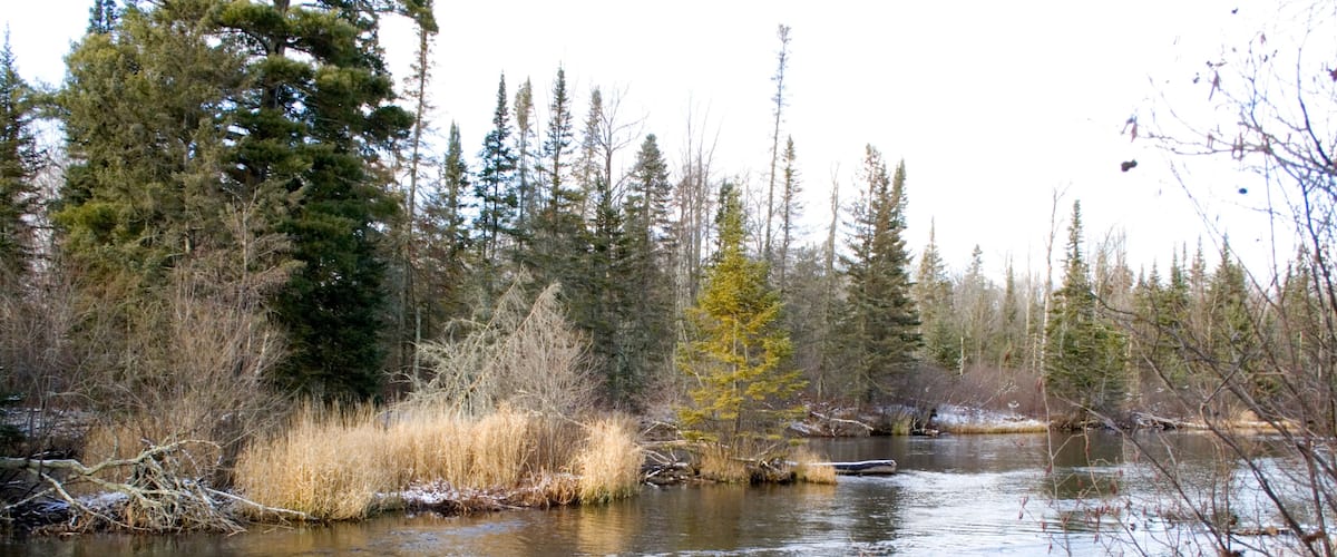 Pristine freshwater lake surrounded by evergreen trees and no sign of civilization. Cable Wisconsin WI USA