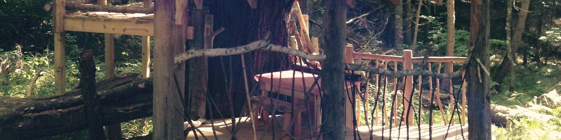 Wayside Wanderings Natural Play Area is located on Randysek Road south of Cable, Wisconsin. The Cable Natural History Museum created and maintains the area.