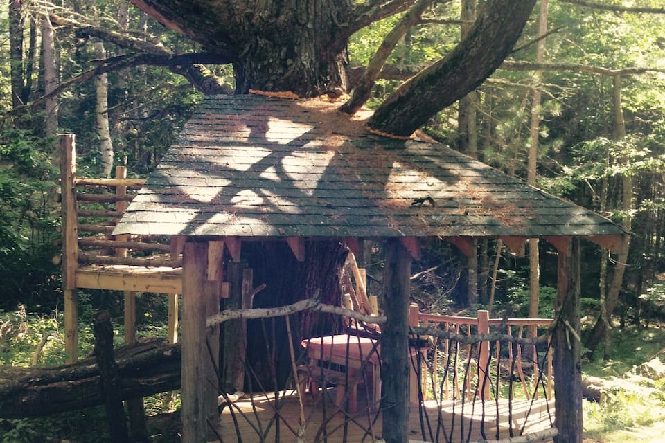 Une cabane en bois rustique, perchée dans un arbre et entourée d’une clôture en corde, au milieu d’une forêt dense.