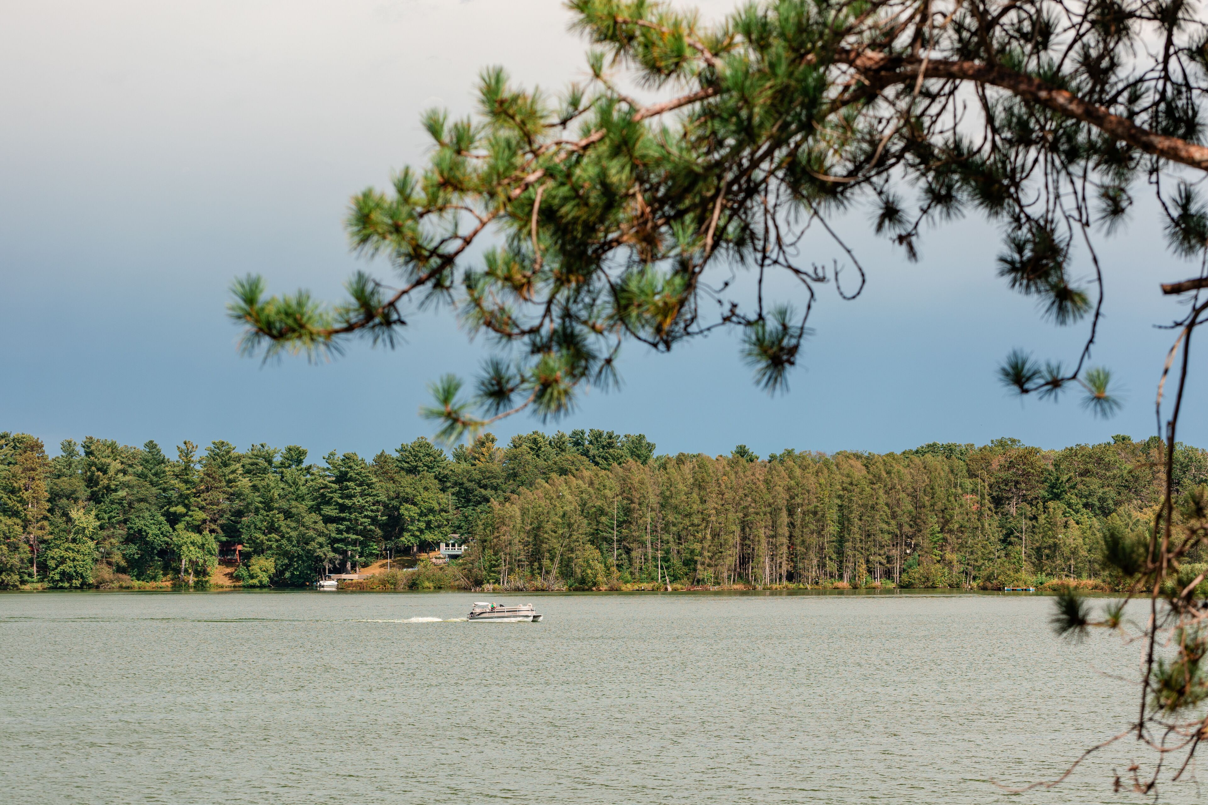 Boat cruising on peaceful forest lake