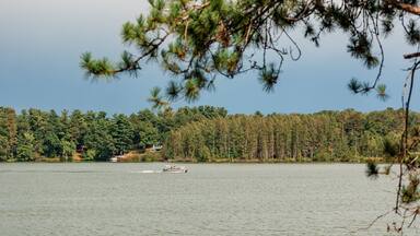 Boat cruising on peaceful forest lake