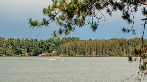 Boat cruising on peaceful forest lake