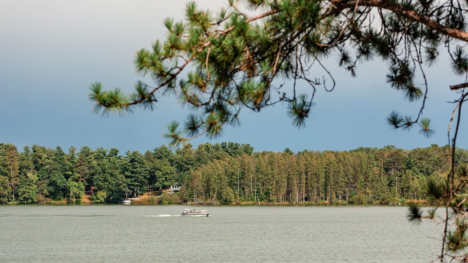 Boat cruising on peaceful forest lake
