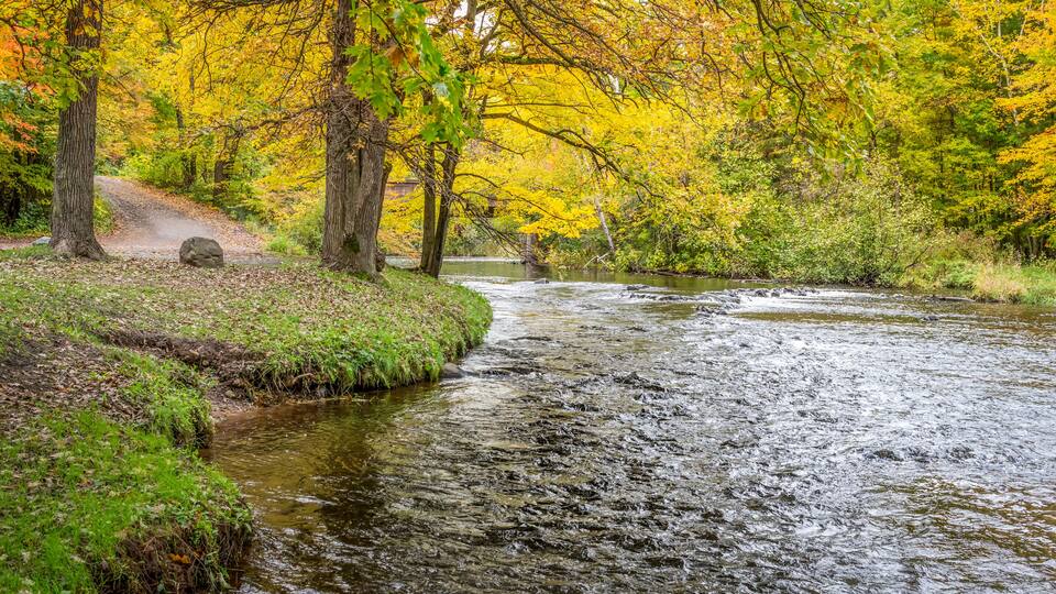 A river flowing through a forest with autumn-colored trees.