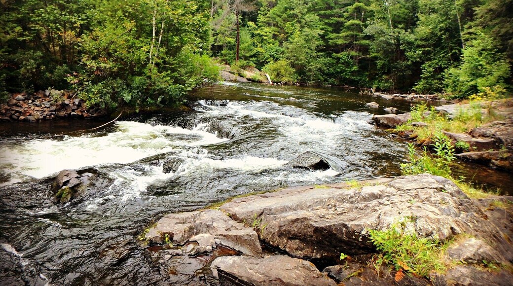 Got to love the #WaterFalls in #Wisconsin. This are a perfect place for #Biking #Hiking #Camping #Fishing & More Part of my North East Wisconsin album on Facebook.