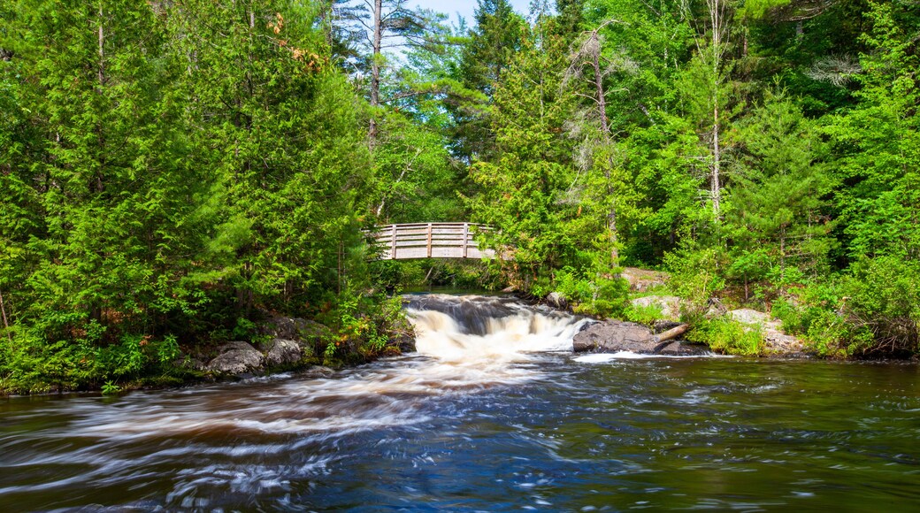 Veterans Falls, Memorial Park, Crivitz, Wisconsin June of 2020