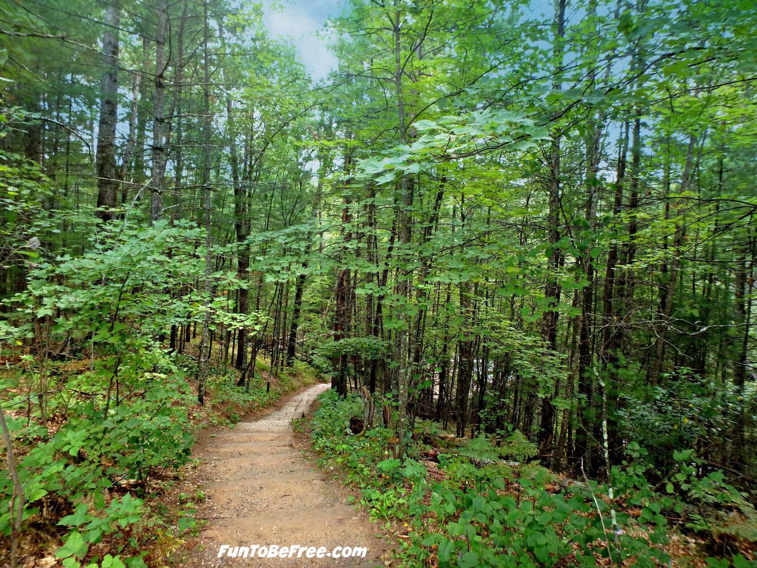 Where will the #Trail take you This #Weekend?   Part of my North East Wisconsin album on Facebook.