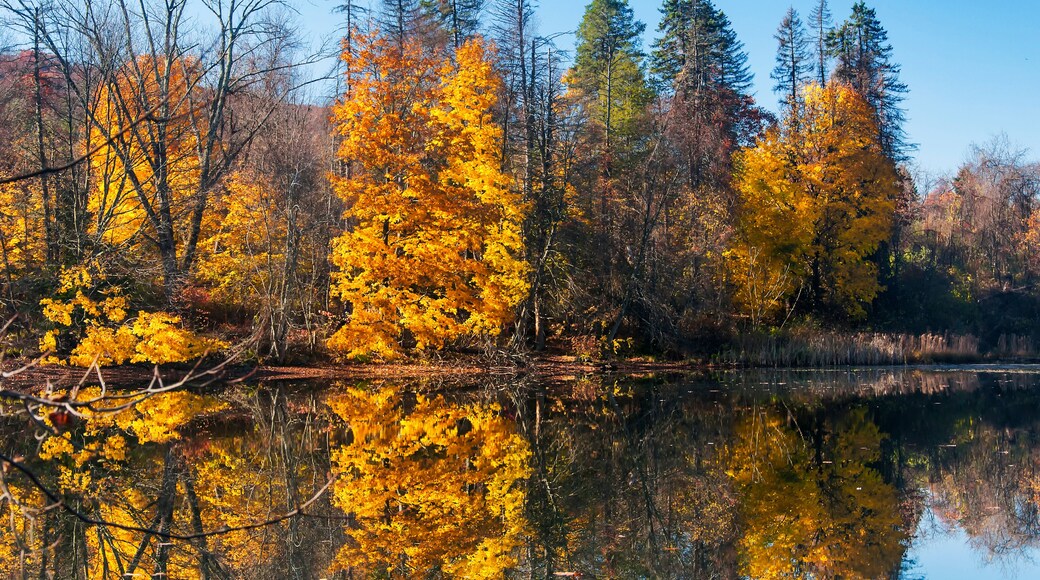 tarrywile state park autumn danbury Connecticut