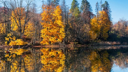tarrywile state park autumn danbury Connecticut