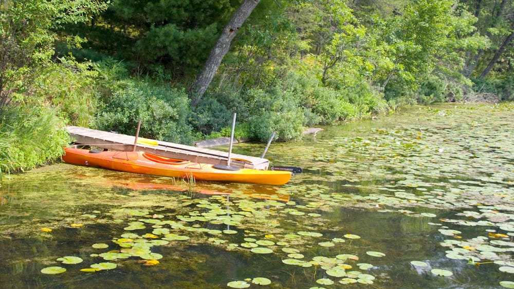 Kayak moored at dock in bed of lily pads. Gull Lake Danbury Wisconsin USA