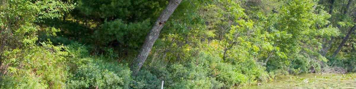 Kayak moored at dock in bed of lily pads. Gull Lake Danbury Wisconsin USA