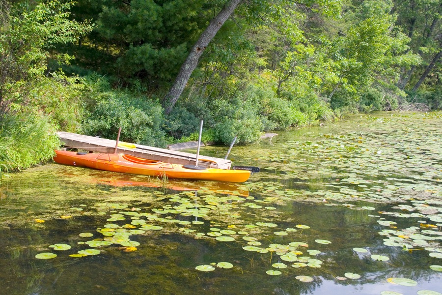 Kayak moored at dock in bed of lily pads. Gull Lake Danbury Wisconsin USA