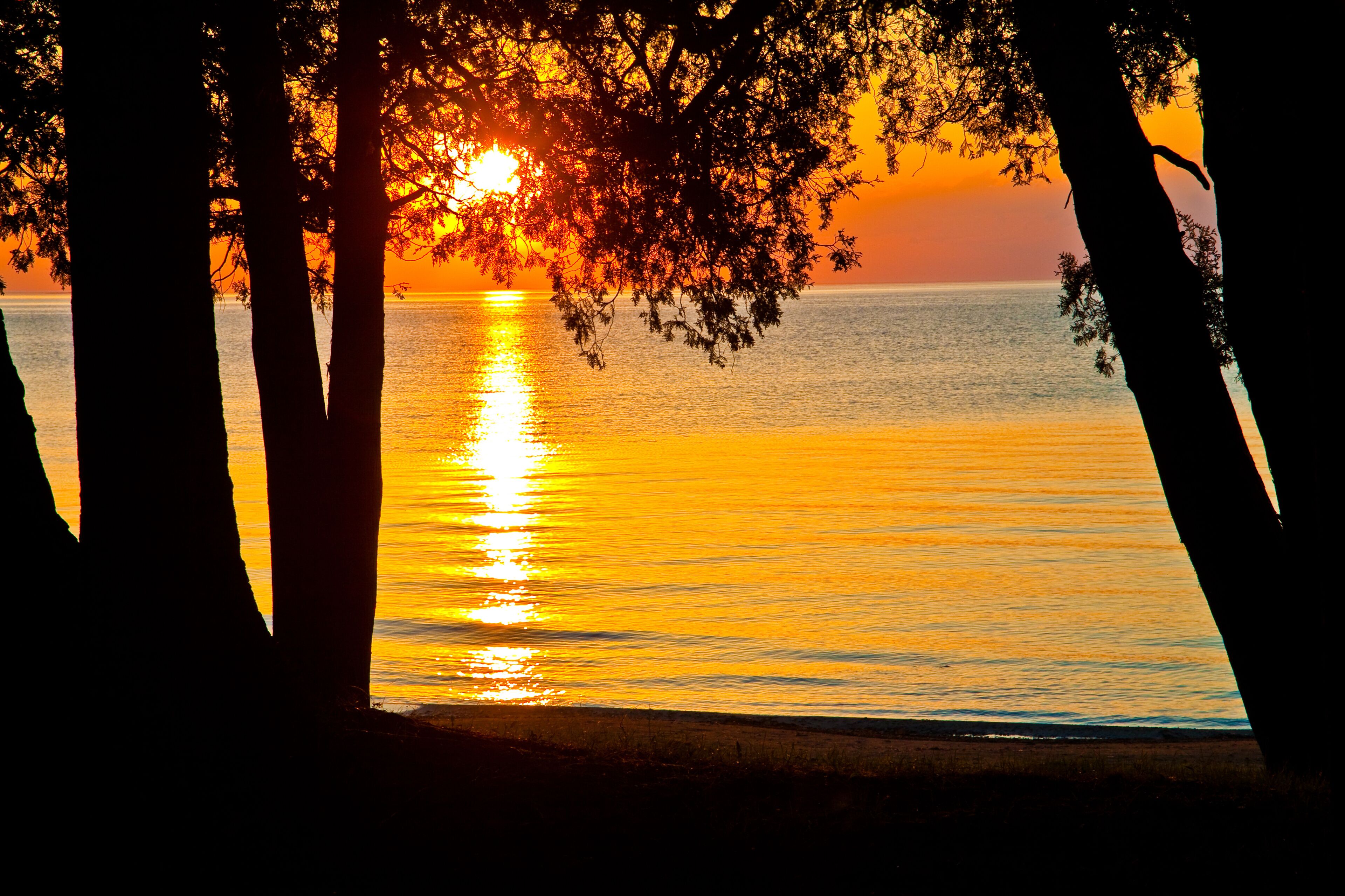 Egg Harbor