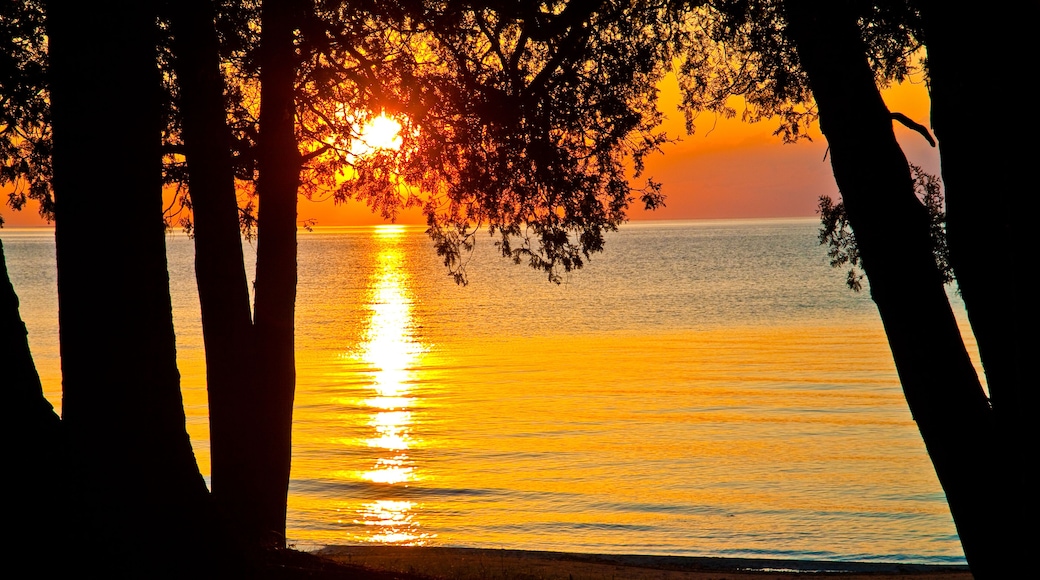 Egg Harbor
