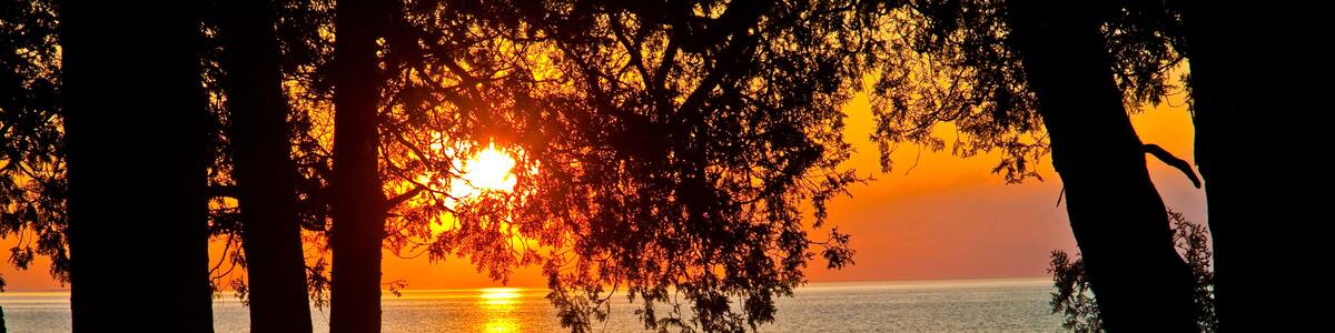 A sunset over a calm sea with silhouettes of trees framing the view.