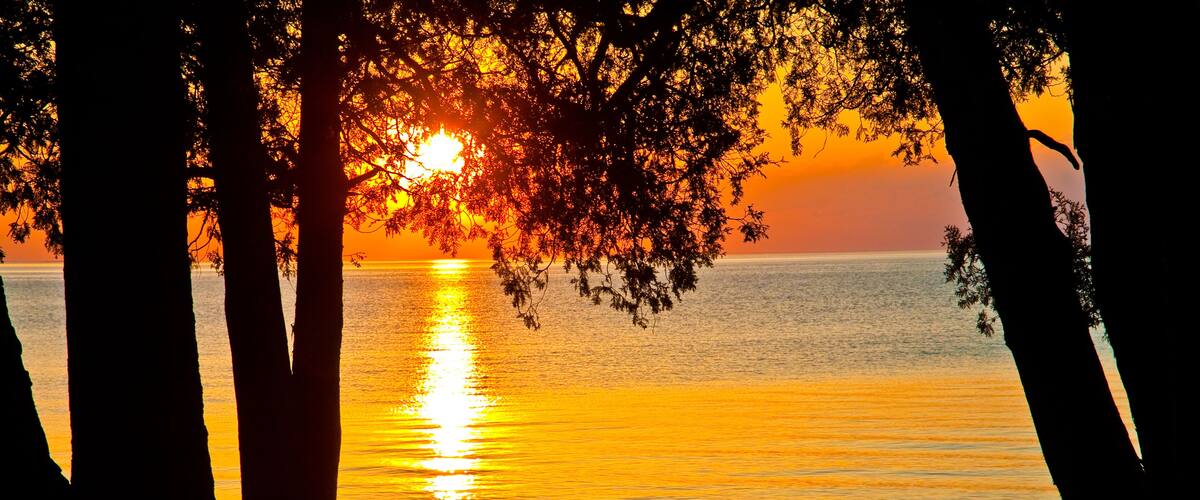 A sunset over a calm sea with silhouettes of trees framing the view.
