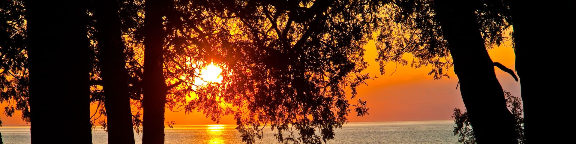 A sunset over a calm sea with silhouettes of trees framing the view.