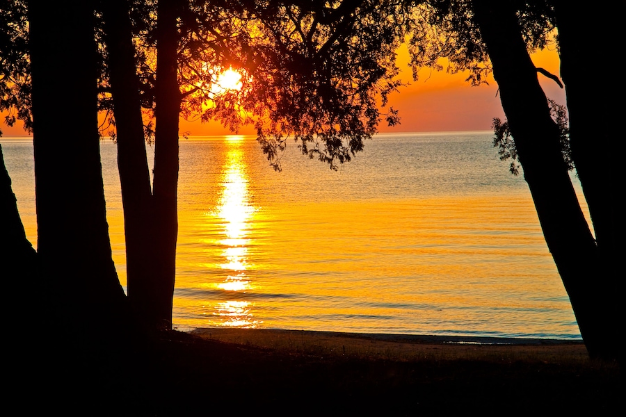 Um pôr do sol sobre um mar calmo, com silhuetas de árvores emoldurando a paisagem.