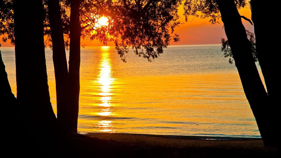A sunset over a calm sea with silhouettes of trees framing the view.