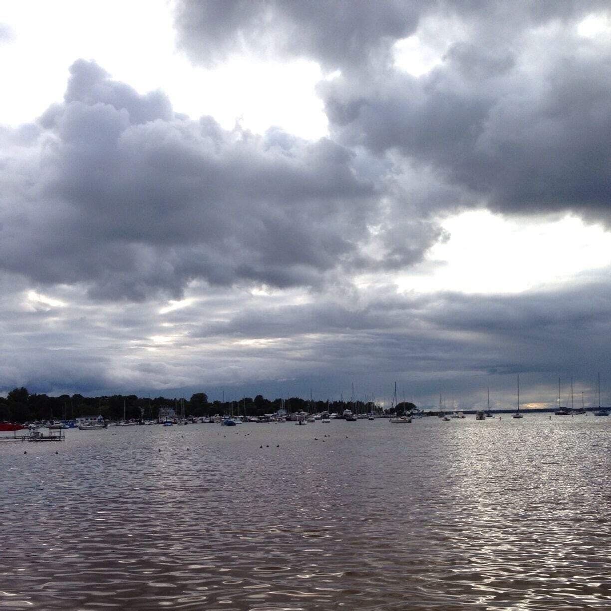 All types of boats are out on the coast of Lake Michigan