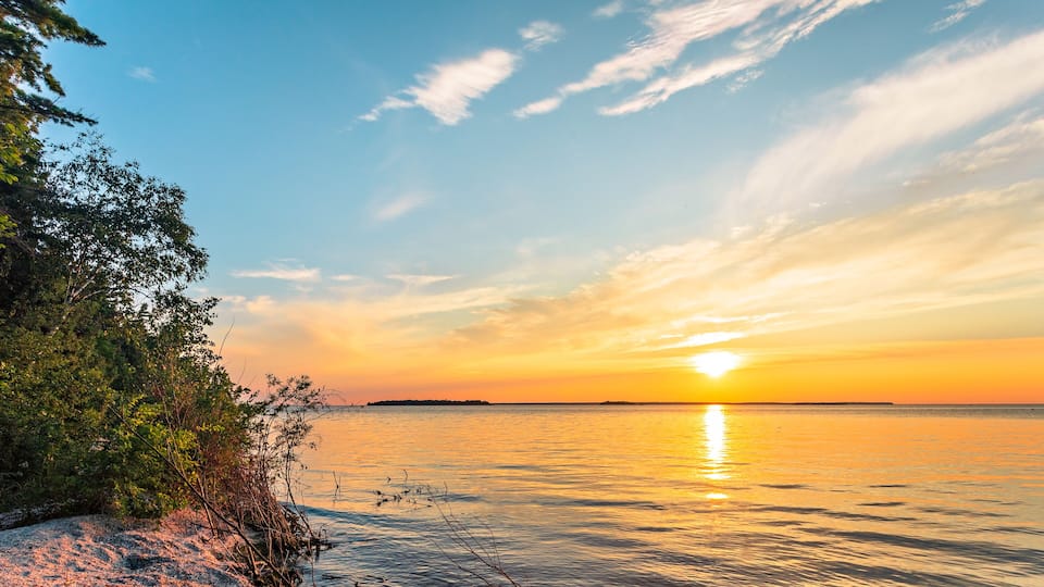 A sunset over a calm body of water with a shoreline covered in vegetation.