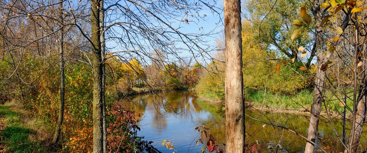 A calm river surrounded by trees with autumn leaves.