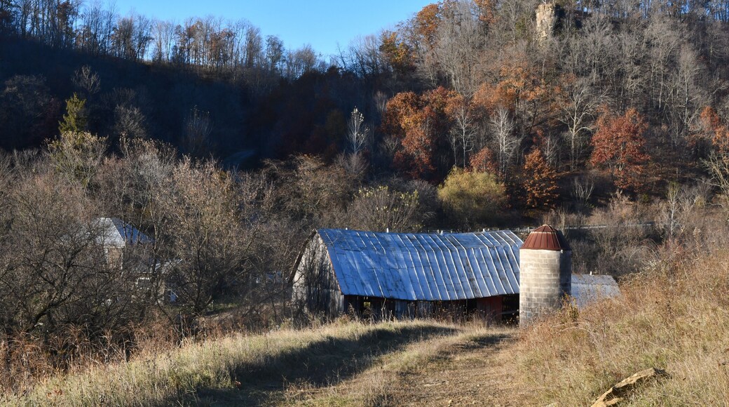 A homestead farm in the Driftless Area of Southwest Wisconsin, shown in the fall with oak trees and an old tobacco barn.