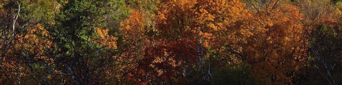 Horseshoe island in Door County ablaze in Fall Colors..