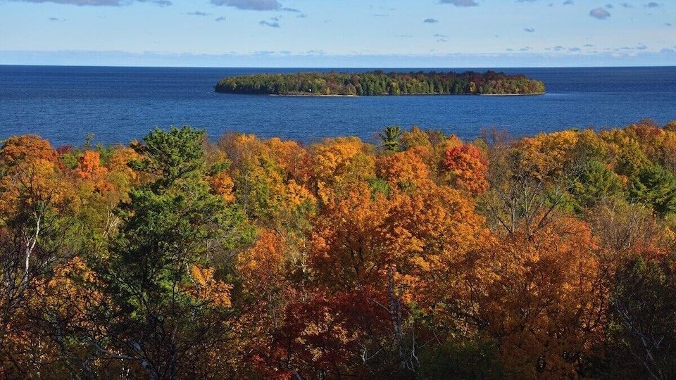 A forested landscape with autumn foliage and a distant island in the water.