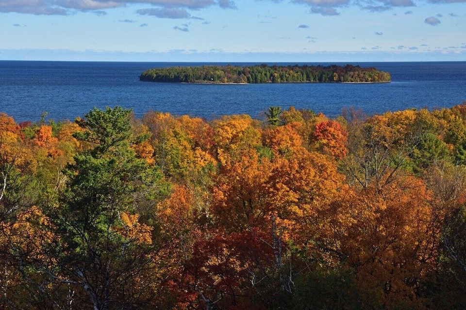 A forested landscape with autumn foliage and a distant island in the water.