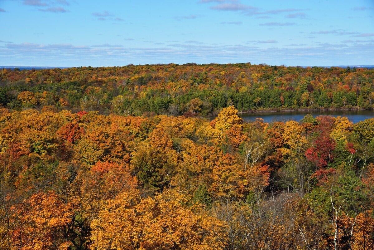 Door County sure has the greatest Fall Colors I have ever seen. Magnificent!