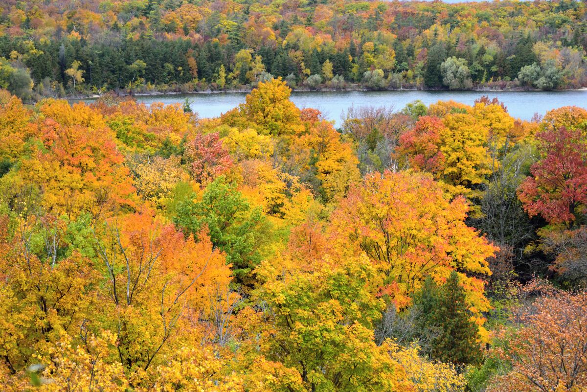This picture was taken from an overlook at the park in Door County. The colors were absolutely magnificent this year with the peak colors coming in the 3rd week of October. 