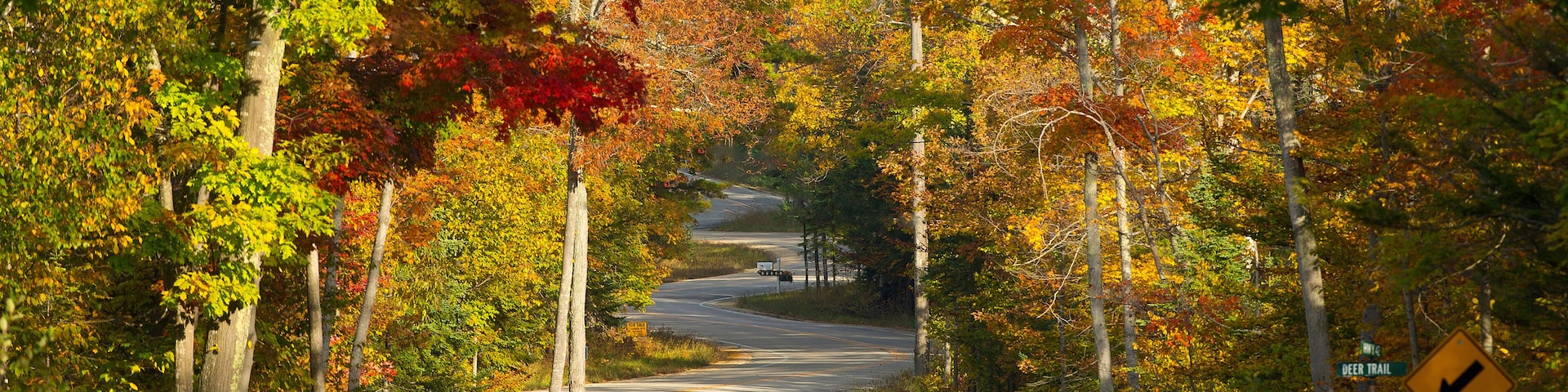 Fall colors on winding road.