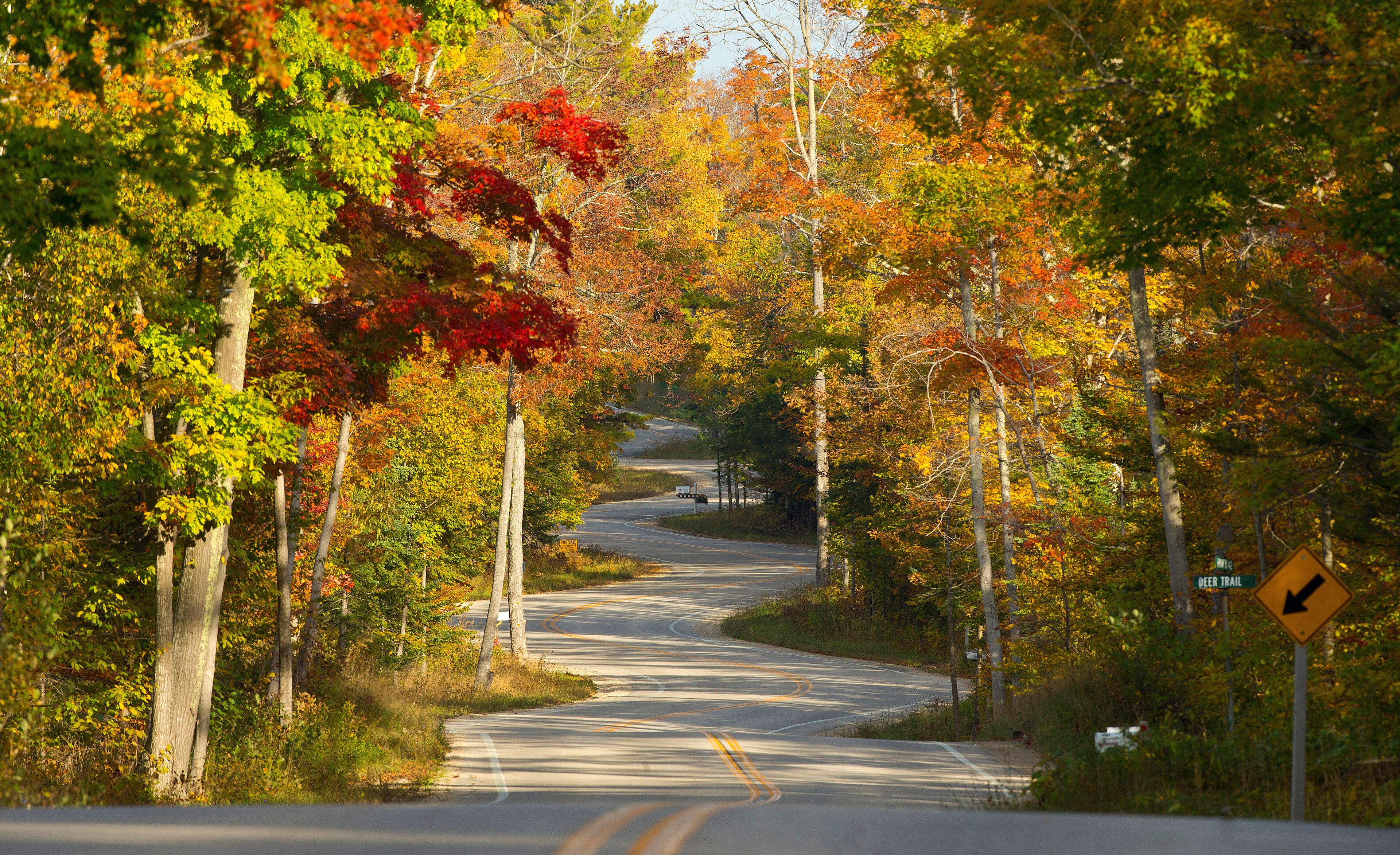 A winding road surrounded by autumn foliage.