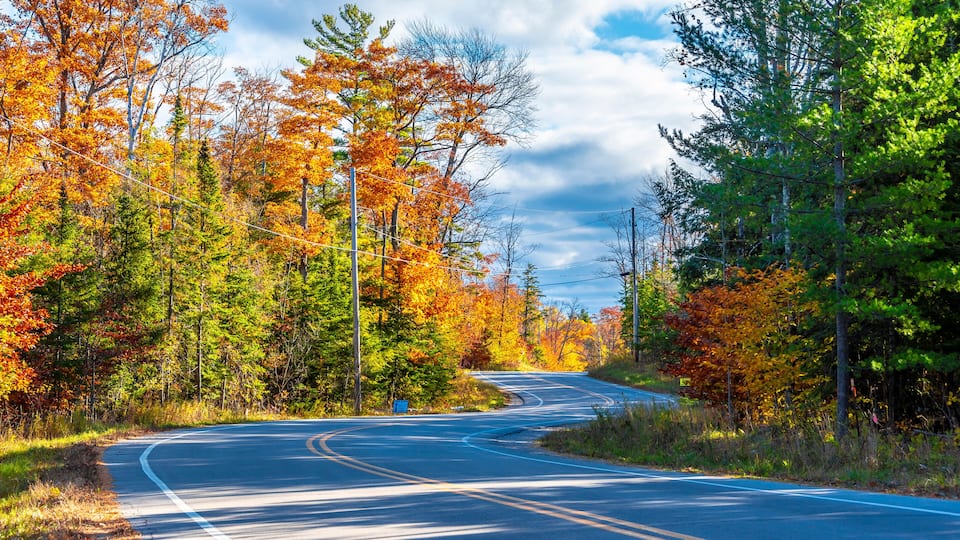 A winding road through a forest with autumn-colored trees.