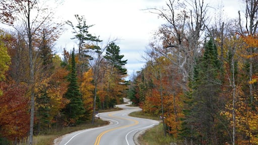 One of the most photographed spots in Door County. This long winding road is in Ellison Bay on the way to the Washington Island Ferry.