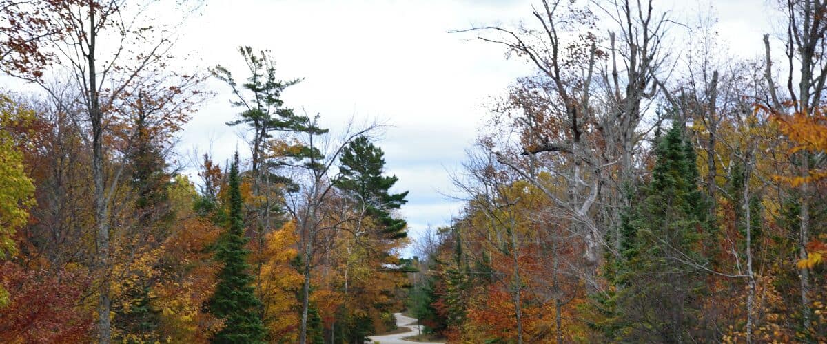 One of the most photographed spots in Door County. This long winding road is in Ellison Bay on the way to the Washington Island Ferry.